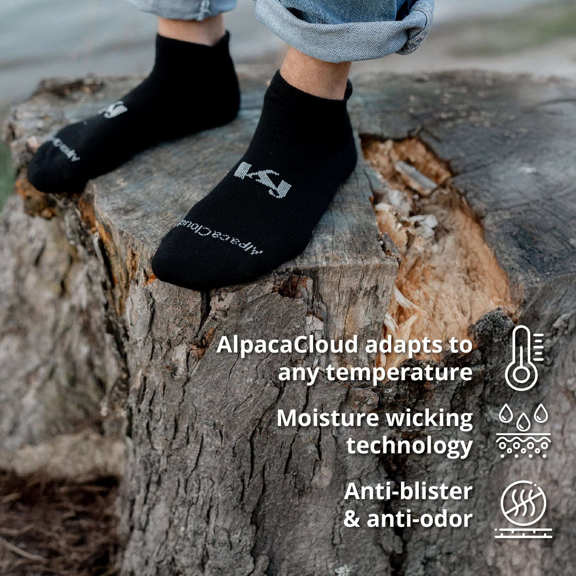 AlpacaCloud® Ankle Sock 6 Pack - Image 5
