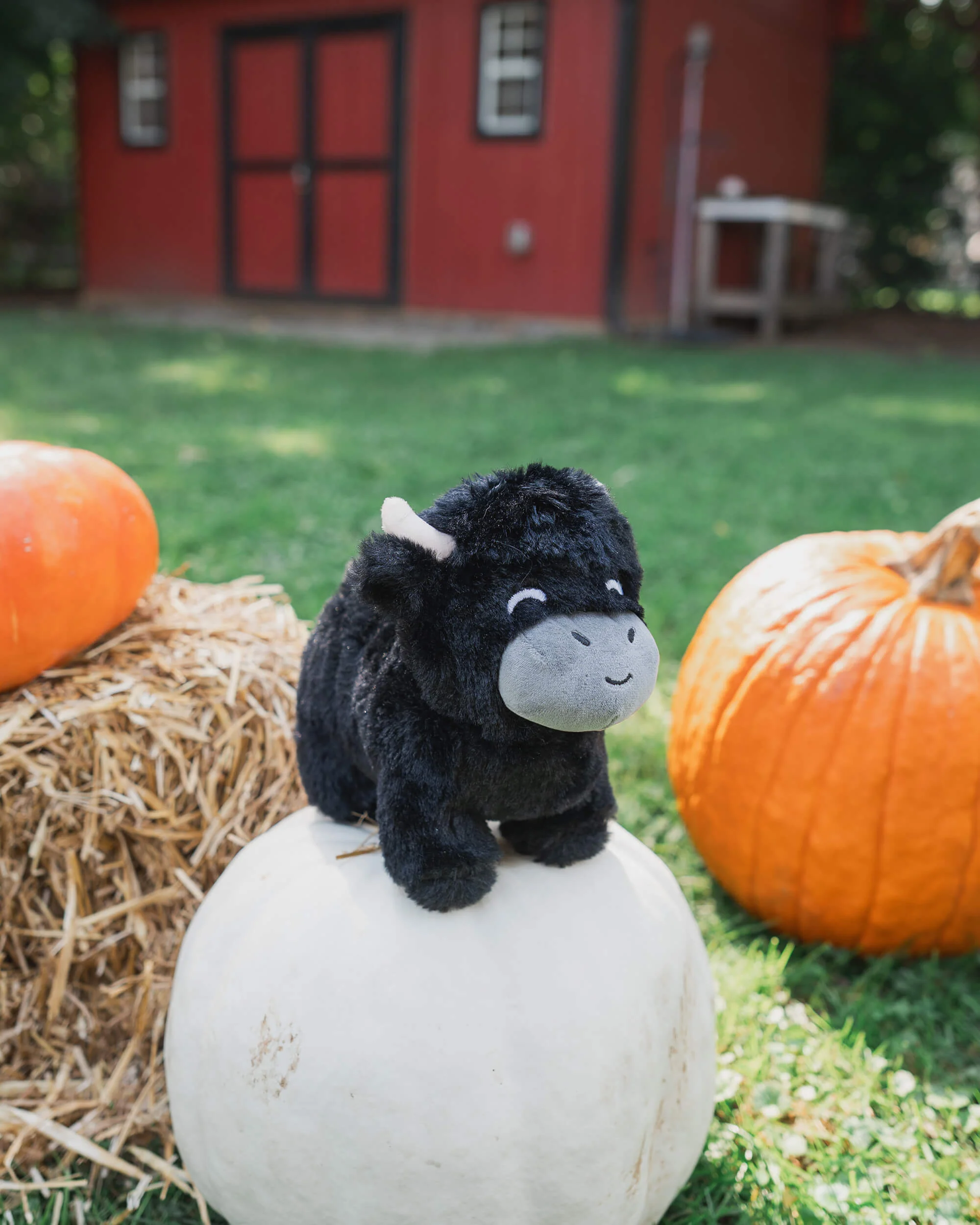 Black Highland Cow Plushie - Image 5