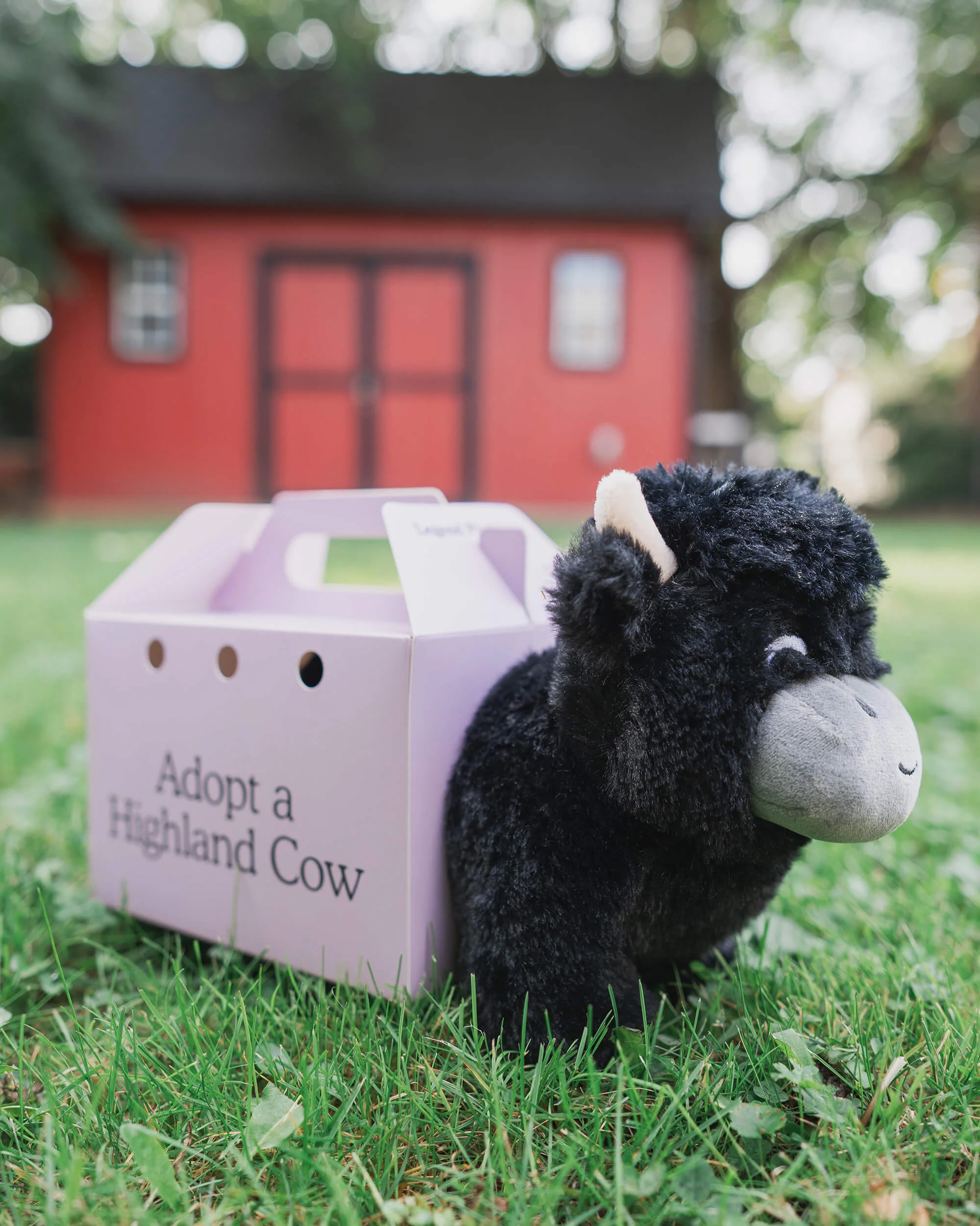 Black Highland Cow Plushie - Image 7