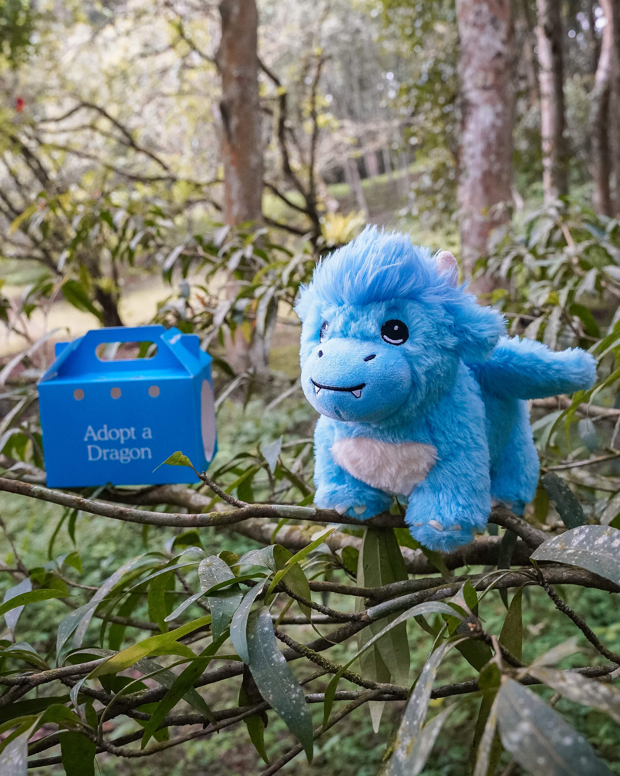 Dragon Plushie - Image 6