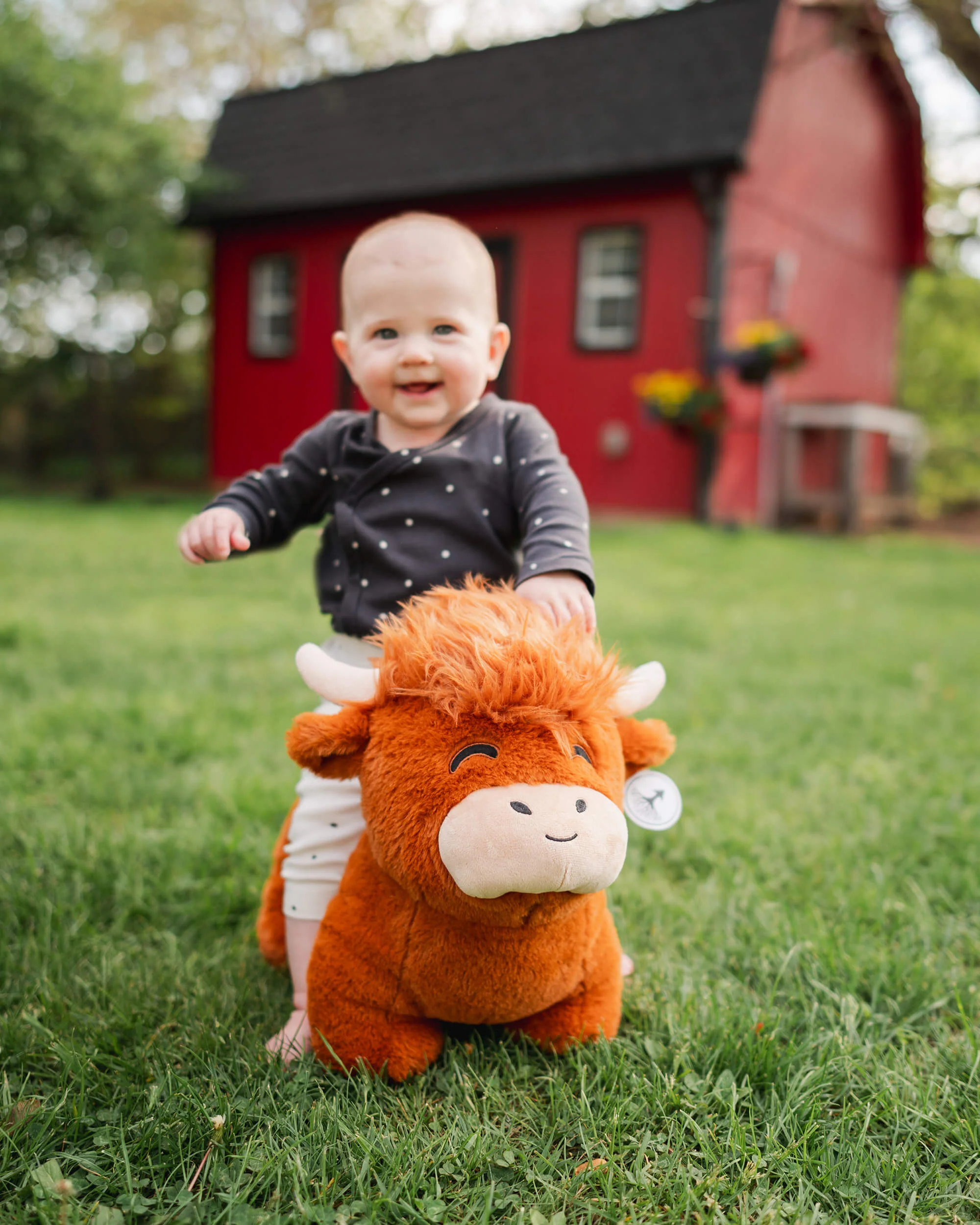 Jumbo Highland Cow Plushie - Image 6