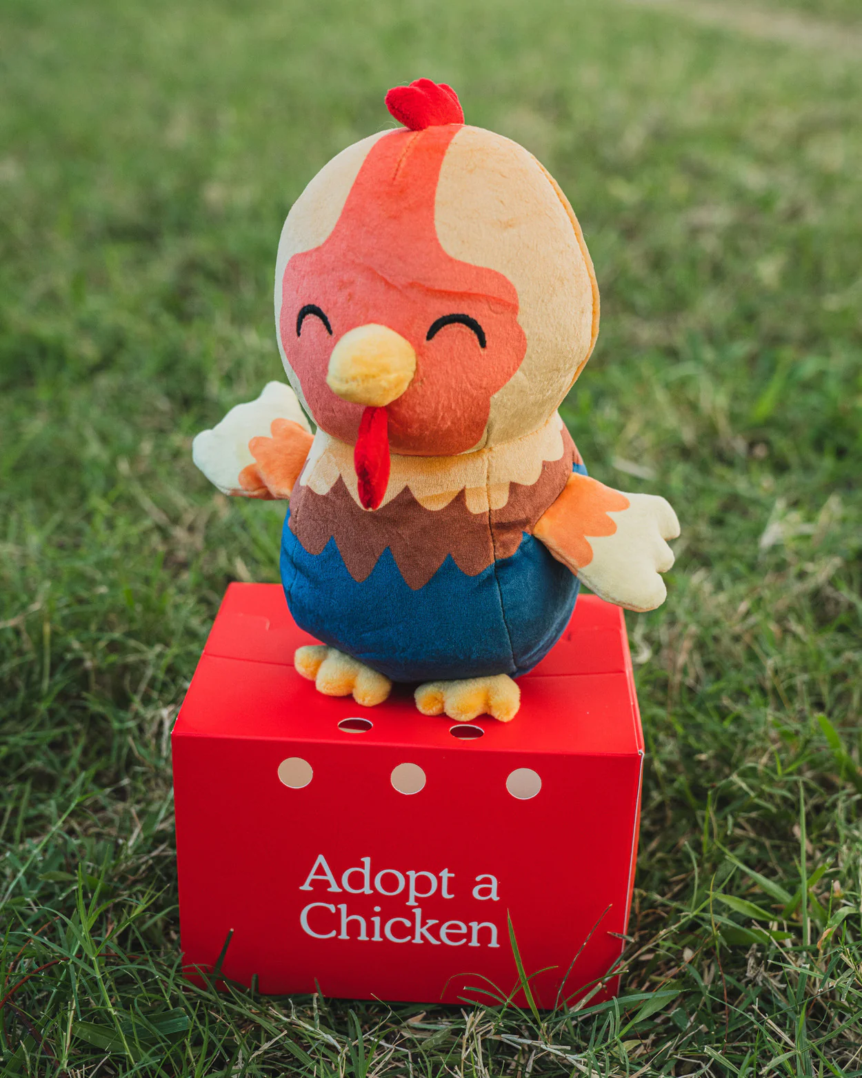 Rainbow Chicken Plushie - Image 6