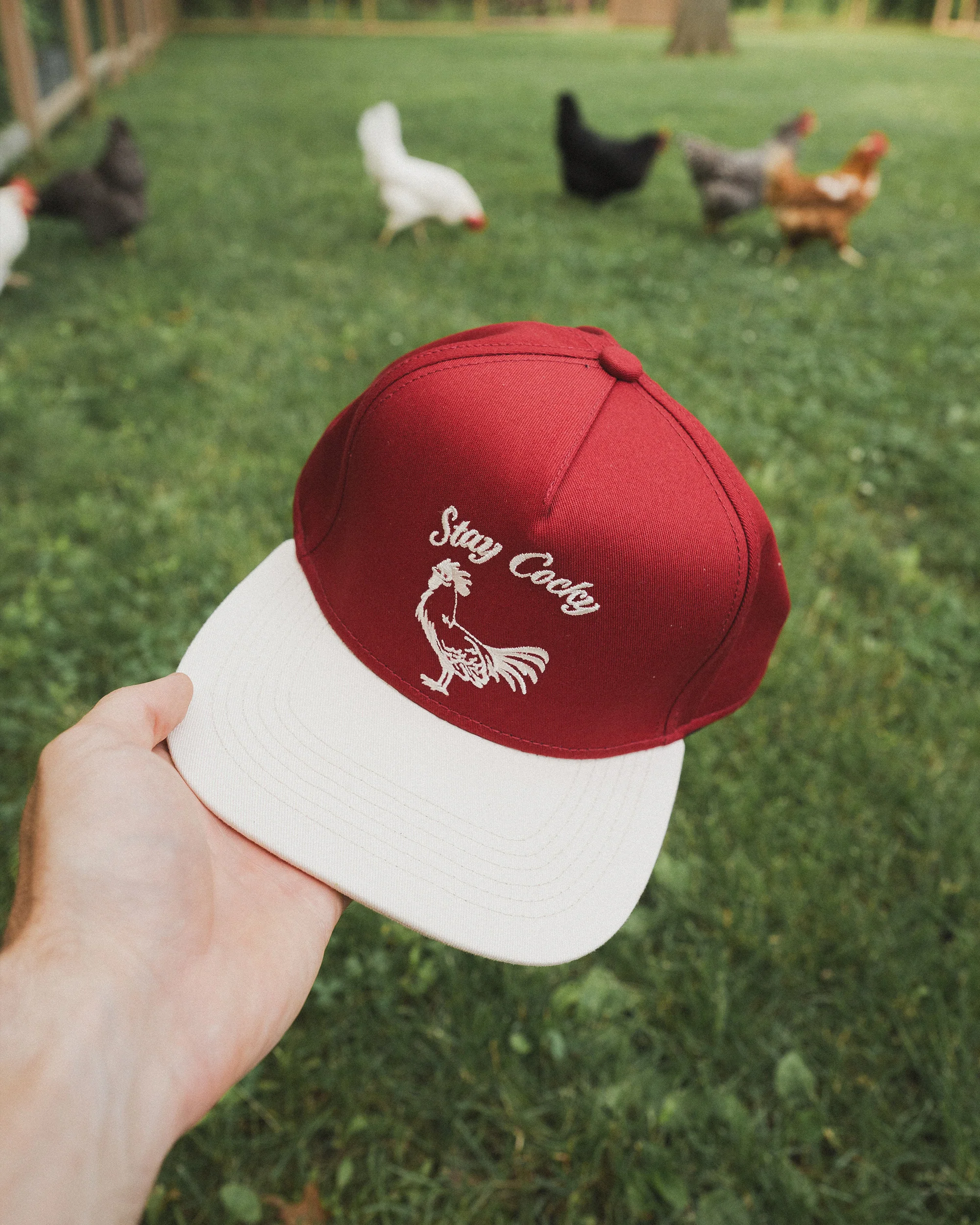 Stay Cocky Hat - Image 9