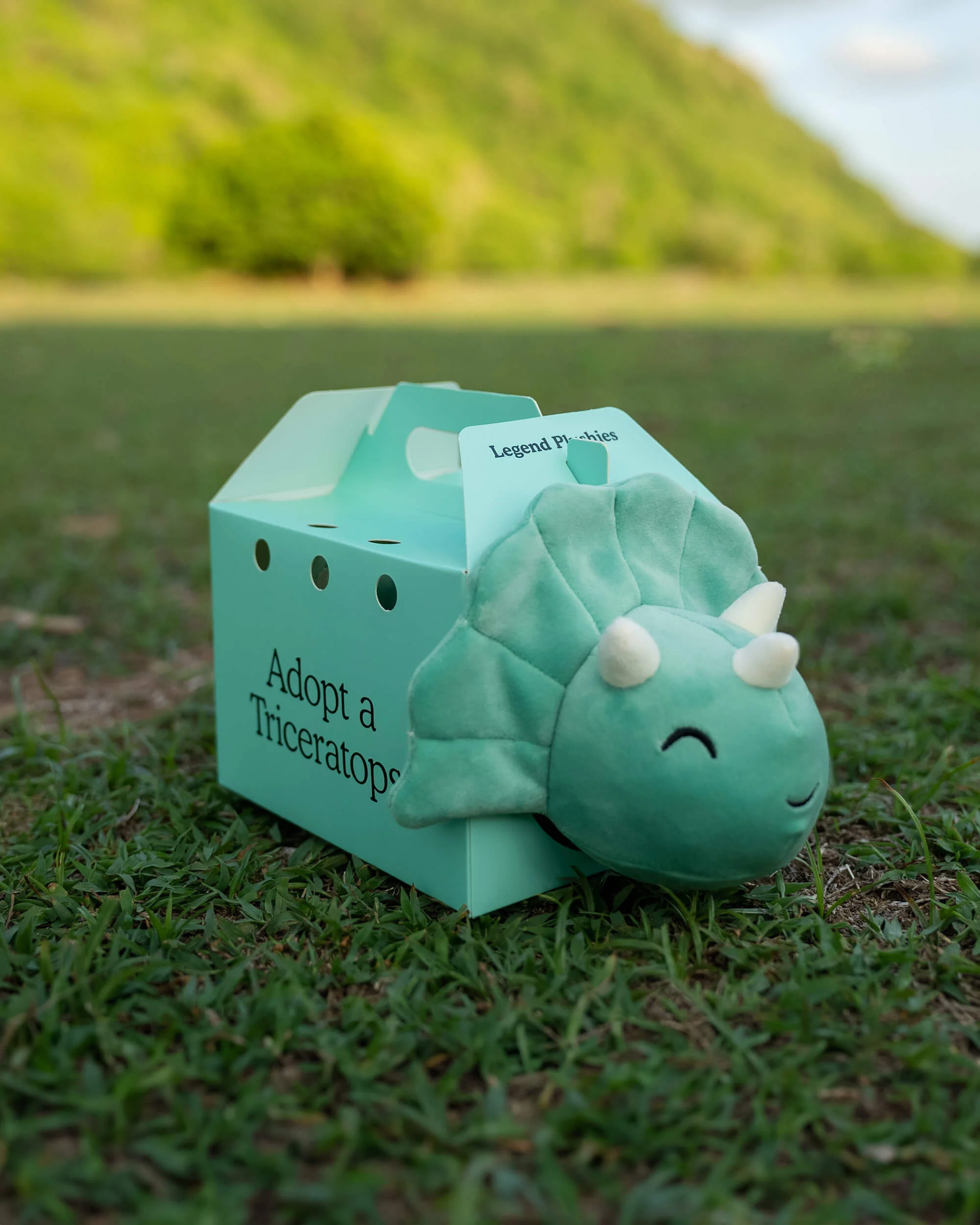 Triceratops Plushie - Image 6